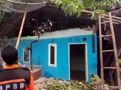 Angin Kencang, Pohon Jabon Tumbang Timpa Rumah Warga