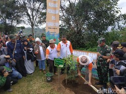 Ridwan Kamil Tanam 17 Ribu Pohon Hijaukan Kawasan Bandung Utara