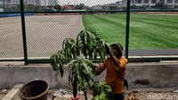 Pembangunan stadion ini ditargetkan rampung pada 20 Desember.