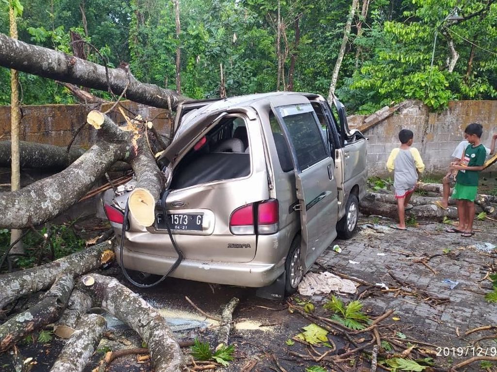 Angin Kencang di Sleman, Pohon Tumbang Timpa Rumah dan Mobil Angin Kencang di Sleman, Pohon Tumbang Timpa Rumah dan Mobil