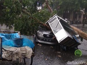 Tiga Mobil Tertimpa Pohon Tumbang Akibat Angin Kencang di Kediri