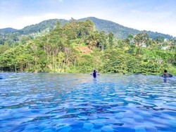 Tips Staycation Murah di Hotel Bintang 5 Puncak Bogor