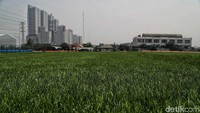 Lapangan tersebeut saat ini masih dalam tahap pemasangan rumput sintesis.