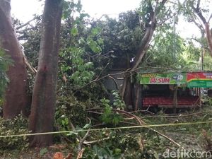 Angin Kencang Tumbangkan Pohon Timpa Warung Kopi, Seorang Mahasiswa Tewas
