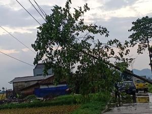 Hujan Es dan Angin Mengguyur Kabupaten Bandung, 3 Pohon Tumbang