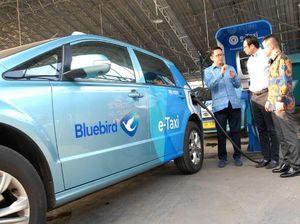 Buka Pool Baru, Blue Bird Akan Rekrutmen Besar-besaran Lagi Buka Pool Baru, Blue Bird Akan Rekrutmen Besar-besaran Lagi