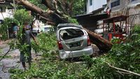 Dampak Kerusakan Angin Kencang yang Terjang Kediri Hingga Bangkalan