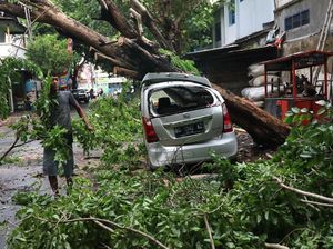 Dampak Kerusakan Angin Kencang yang Terjang Kediri Hingga Bangkalan