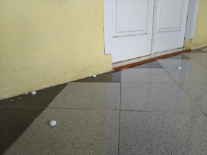 Antisipasi Ular Kobra, Warga Citayam Taruh Kapur Barus di Teras Rumahnya