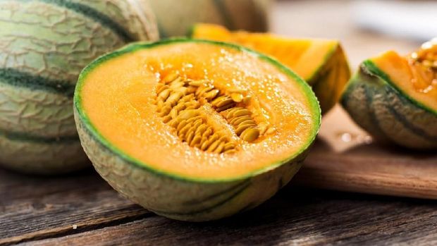 Fresh melon on tree. Cantaloupe. selective focus