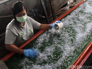 Melihat Proses Daur Ulang Botol Plastik Air Kemasan