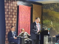 DPR Harap Negara Maju Danai Capacity Building Atasi Perubahan Iklim