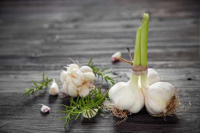 Cara menanam bawang putih. Foto: iStock