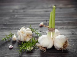 Begini, Cara Menanam Bawang Putih di Rumah