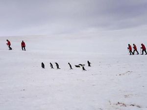 Foto: Es Antartika Meleleh tapi Makin Ramai Turis