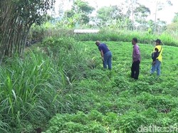 Tanah Terbelah 300 Meter di Pasuruan Dilaporkan ke Pemprov Jatim