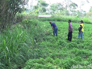 Tanah Terbelah 300 Meter di Pasuruan Dilaporkan ke Pemprov Jatim Tanah Terbelah 300 Meter di Pasuruan Dilaporkan ke Pemprov Jatim