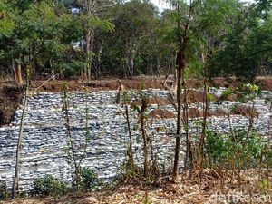 Warga Sebuah Desa di Kediri Diresahkan Limbah Berbau Tak Sedap
