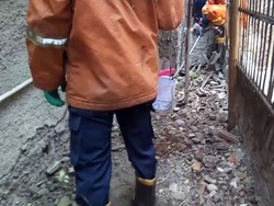 9 Anak Ular Kobra Dievakuasi dari Rumah Warga di Cakung Jaktim