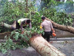 Angin Kencang Tumbangkan Puluhan Pohon dan Rusak Rumah Warga di Blitar