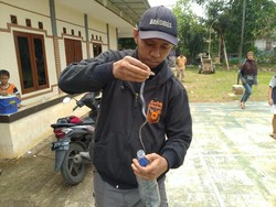 1 Anak Kobra Kembali Ditemukan di Perum Citayam, Total Sudah 34 Ular