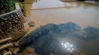 Duh, Lagi-lagi Aliran Sungai Citarum Tercemar Limbah