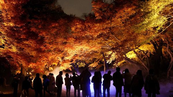 Musim Gugur di Jepang Indahnya Kebangetan