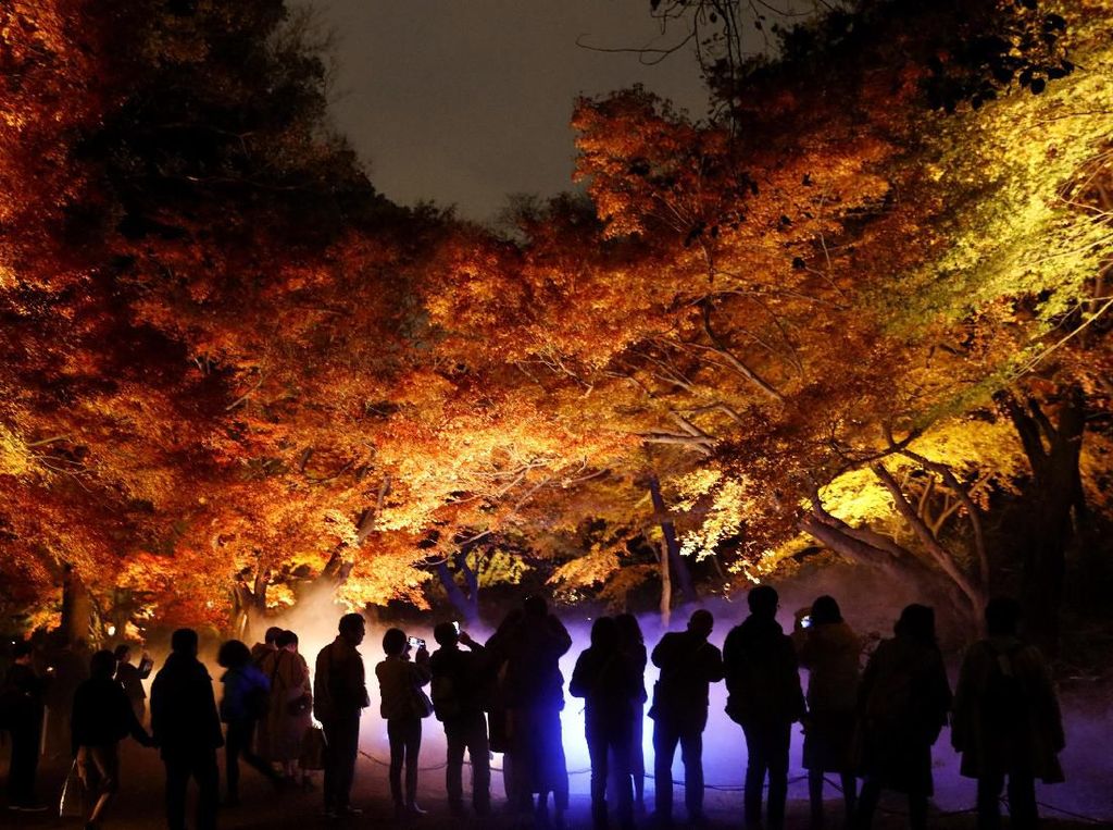 Musim Gugur di Jepang Indahnya Kebangetan