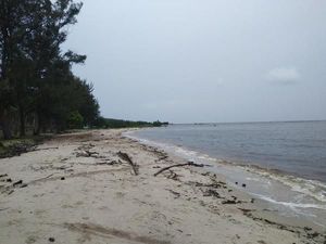 Sei Bakau, Laut Hitam dari Indonesia