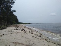 Sei Bakau, Laut Hitam dari Indonesia