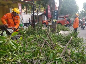 BPBD: 10 Kecamatan di DIY Terdampak Hujan Disertai Angin Kencang