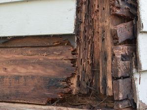 Hati-Hati! Ini 6 Tanda Perabotan Kayu di Rumah Digerogoti Rayap Hati-Hati! Ini 6 Tanda Perabotan Kayu di Rumah Digerogoti Rayap