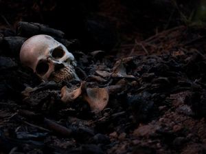 Tengkorak Papua Dijual Ilegal di Eropa?