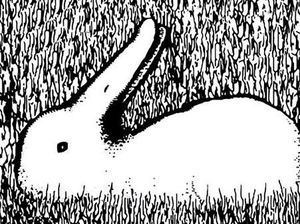 Tes Kepribadian: Gambar Bebek atau Kelinci yang Pertama Kali Kamu Lihat?