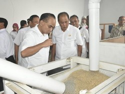 Kemendes Akan Genjot Produksi Beras Organik Karanganyar