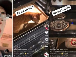 Unggah Video Kucing Dimasukkan ke Microwave di Tik Tok, Pria Ini Dihujat Netizen Unggah Video Kucing Dimasukkan ke Microwave di Tik Tok, Pria Ini Dihujat Netizen