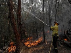 25 Ribu Liter Air Minum Dicuri di Wilayah Australia yang Dilanda Kekeringan
