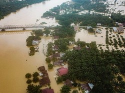 Banjir Telan Korban Jiwa, Walhi Kritik Kampanye Gubernur Riau Green