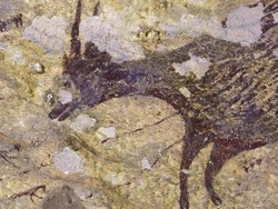 Animasi Tertua Dunia Ditemukan di Gua, Salah Satunya di Sulawesi