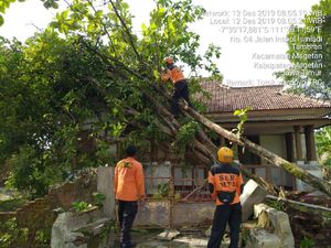 5 Kecamatan di Magetan Terdampak Angin Kencang, Evakuasi Masih Berjalan