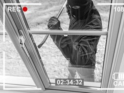 Curi Burung hingga Motor, 5 Aksi Kriminal Demi Traktir Makanan