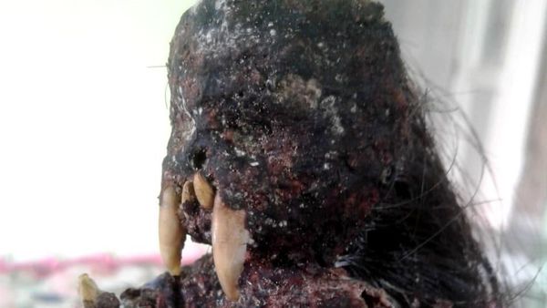 Ini Dia Jenglot yang Buat Geger Warga Pangandaran