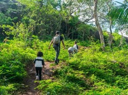 4 Tempat Trekking di Jogja, Punya Pemandangan Indah dan Aman untuk Anak