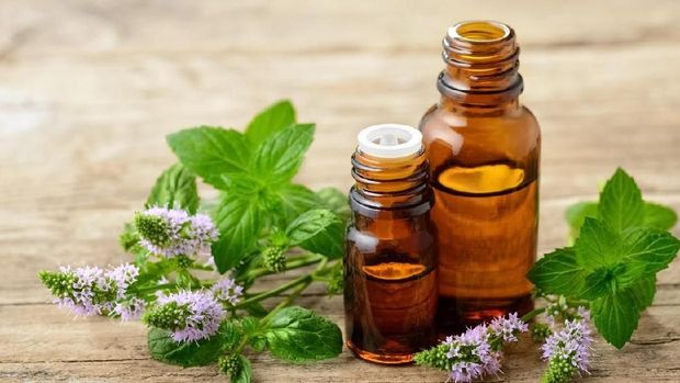 7 Obat Kuat Alami untuk Menghilangkan Lelah Bunda