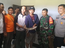 BKSDA Evakuasi Buaya yang Nyasar ke Permukiman di Klaten