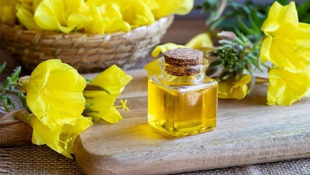 Minyak evening primrose