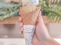 Cara Membuat Es Krim di Rumah, Mudah Banget!