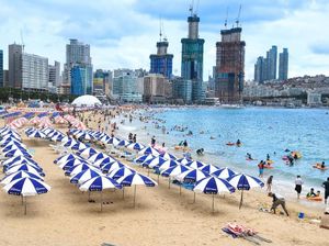 Wisata ke Busan Bisa Pakai Kartu Sakti, Anti Ribet dan Lebih Hemat