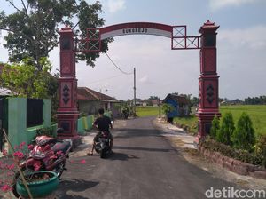 Ngeri! Ada Kobra Naik ke Kasur Warga di Klaten