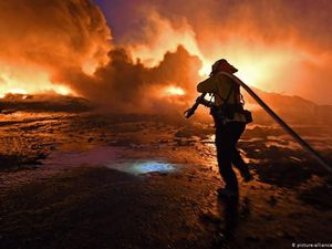 Berhenti dari Dunia Akademis, Para Ilmuwan Ini Menjadi Aktivis